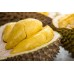 DURIAN